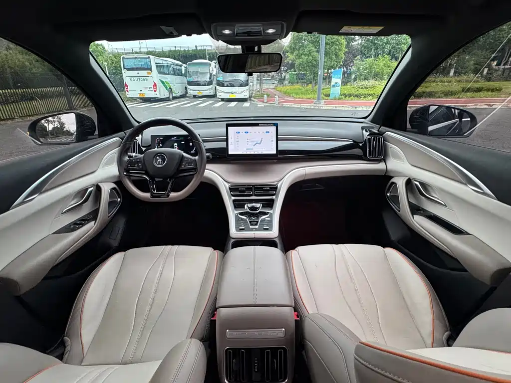 BYD Pro New Energy 2024 — фото 10