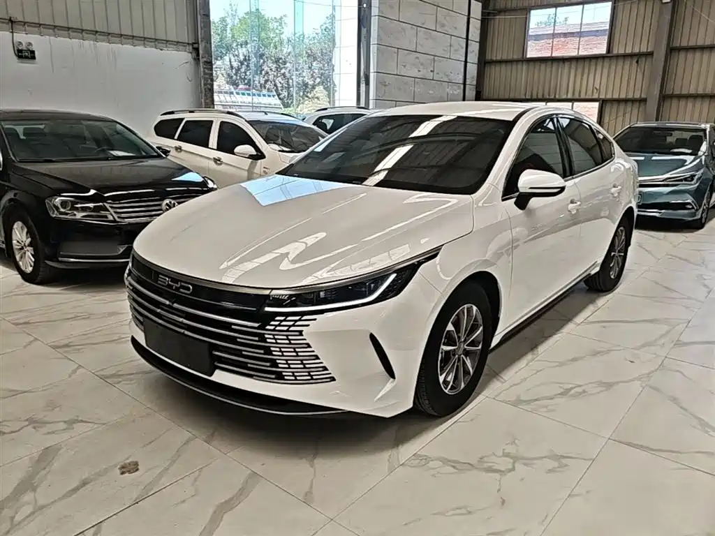 BYD Destroyer 05 2024 — фото 2