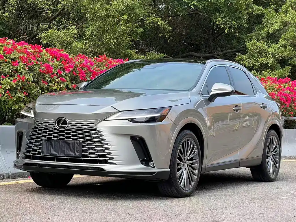 Lexus RX 2023 — фото 1