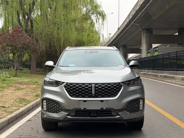 Wey VV6 2020
