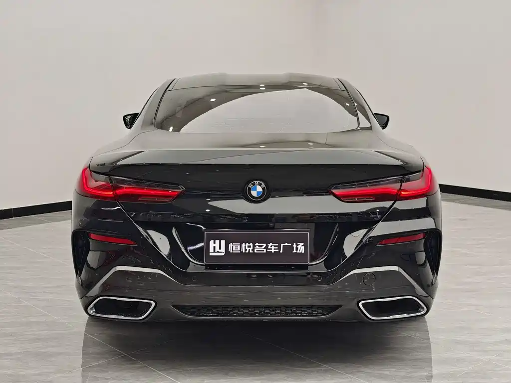 BMW 8 Series 2020 — фото 4