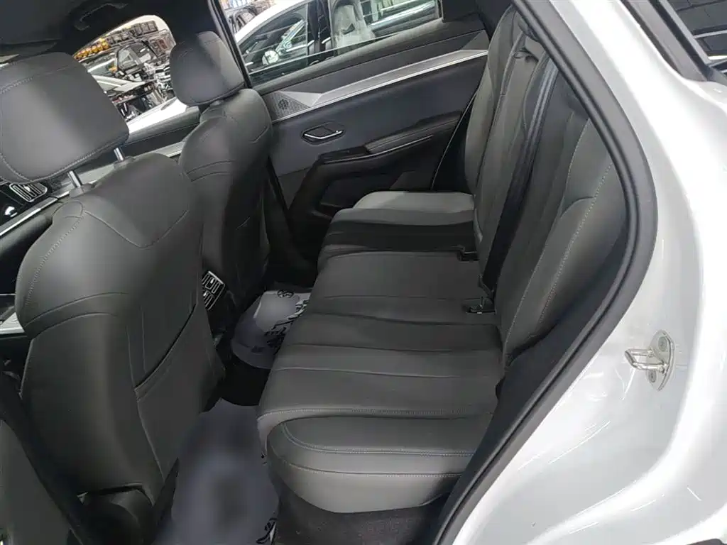 BYD Pro New Energy 2025 — фото 16