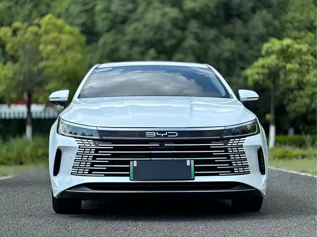BYD Destroyer 05 2023 — фото 2