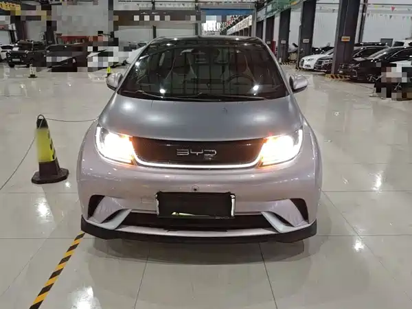 BYD Dolphin 2021