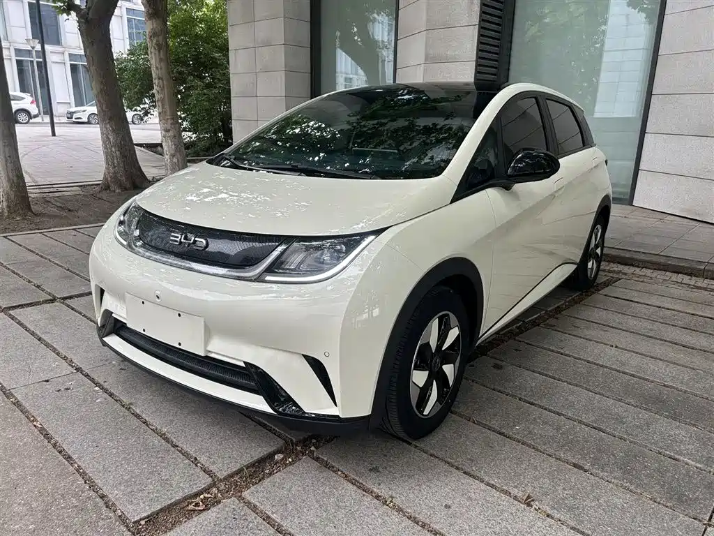 BYD Dolphin 2024