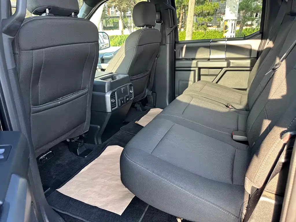 Ford F-150 Raptor 2019 — фото 13