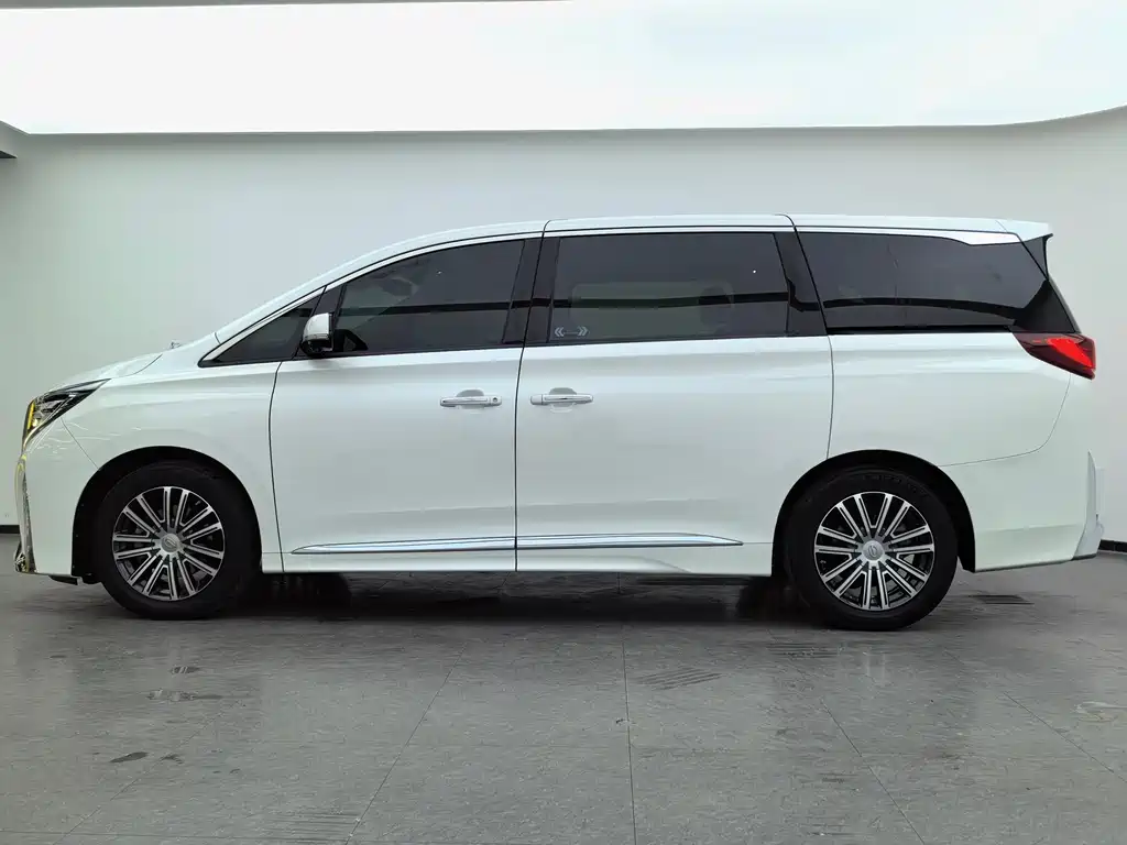 GAC Motor Trumpchi M8 2021 — фото 9