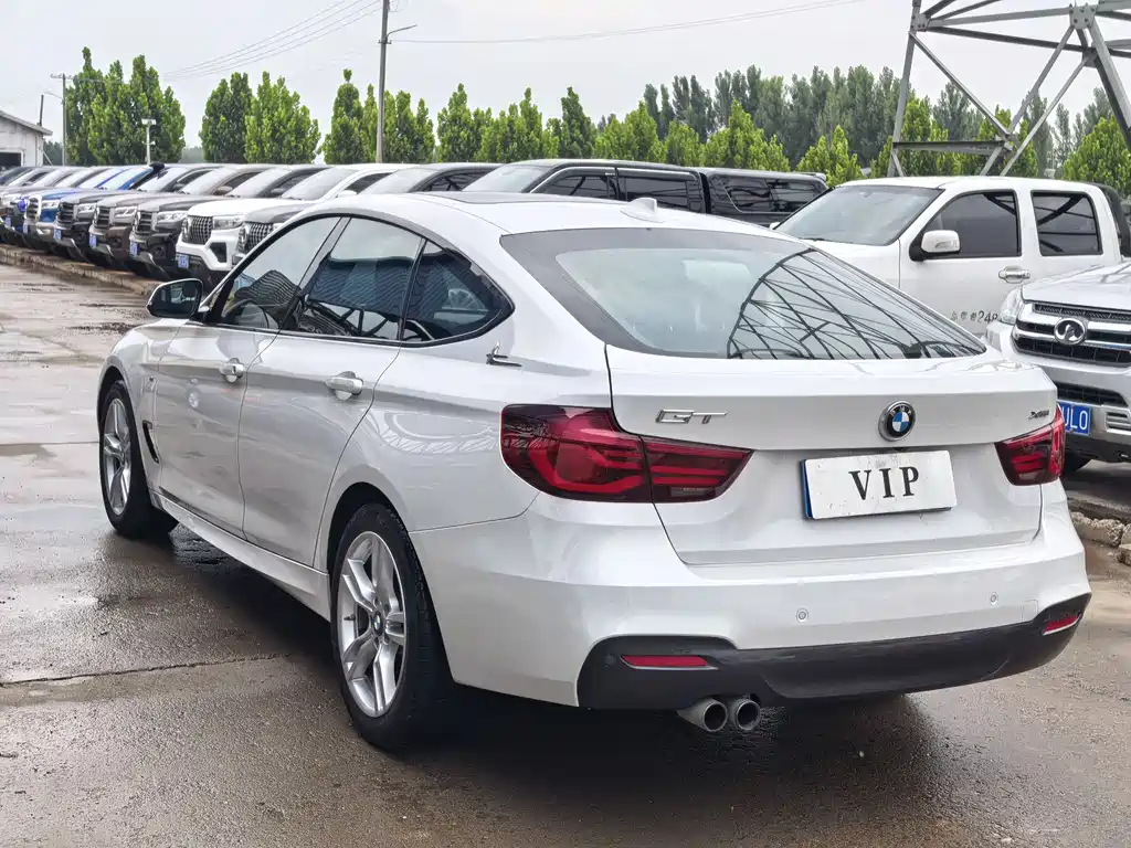 BMW 3 Series GT 2019 — фото 6
