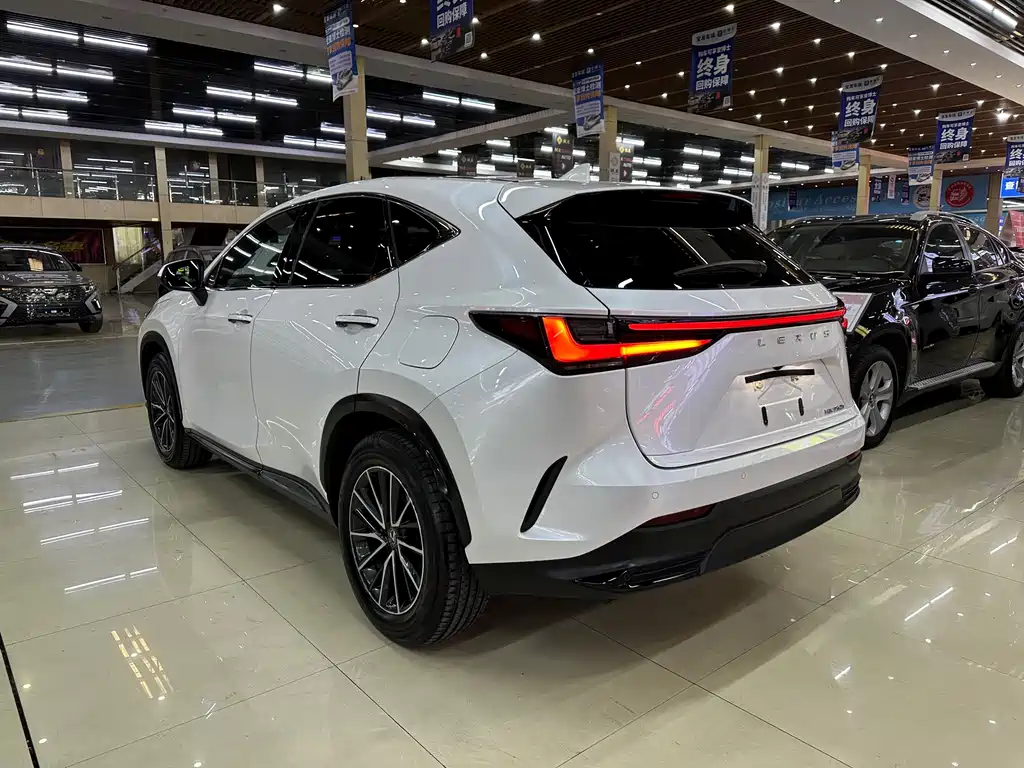 Lexus NX 2023 — фото 9