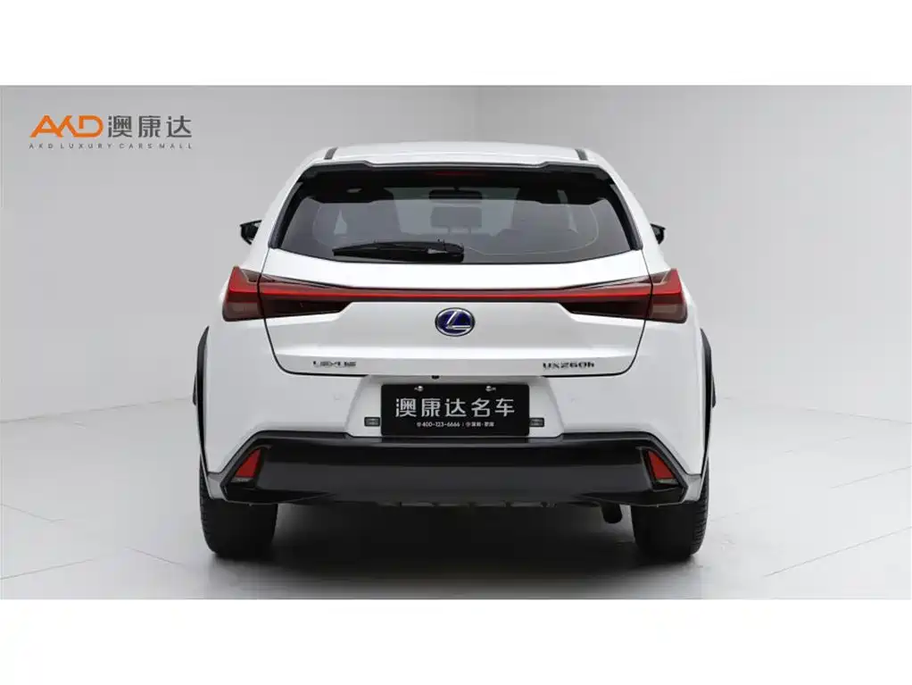Lexus UX 2019