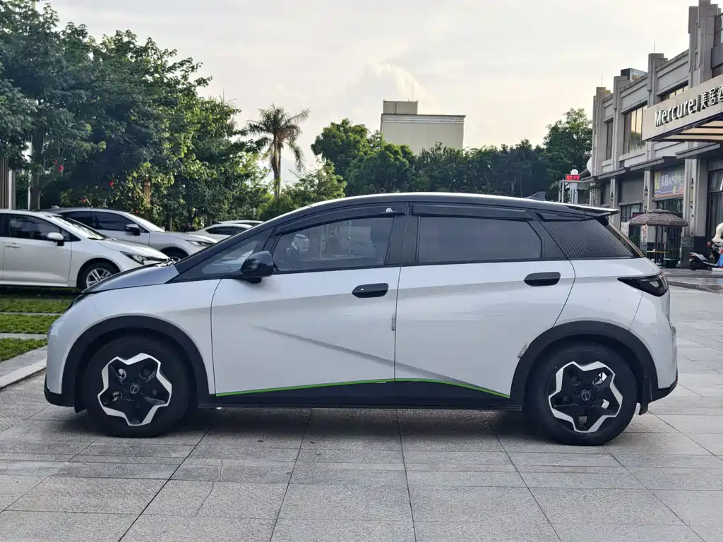 BYD Dolphin 2022