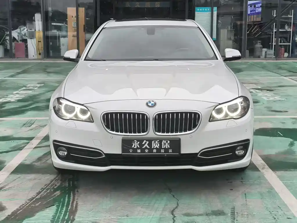 BMW 5 Series New Energy 2016