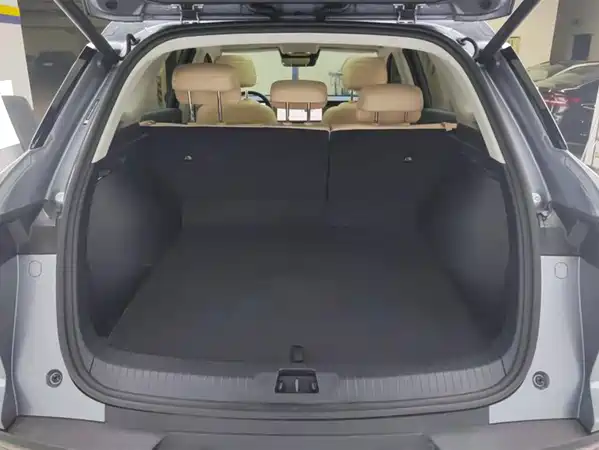 BYD Song Pro New Energy 2024