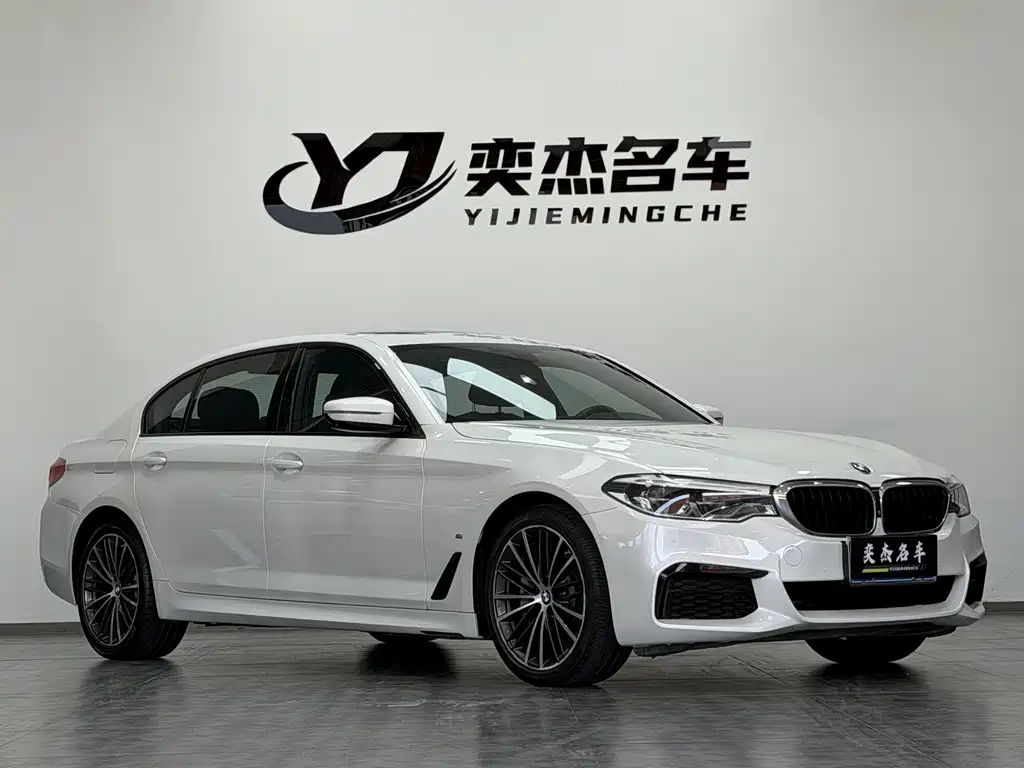 BMW 5 Series 2019 — фото 3