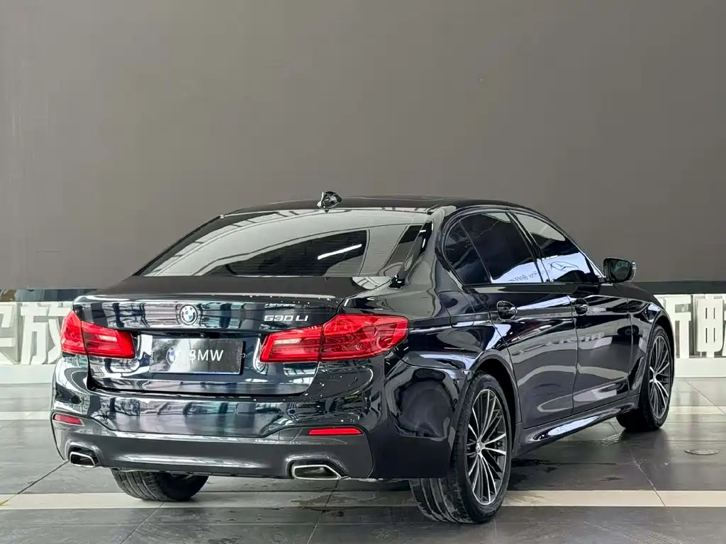 BMW 5 Series 2019 — фото 9