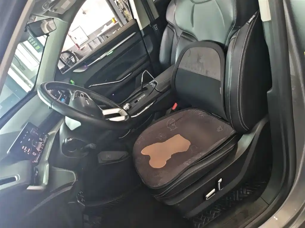 Haval H6 New Energy 2023 — фото 15