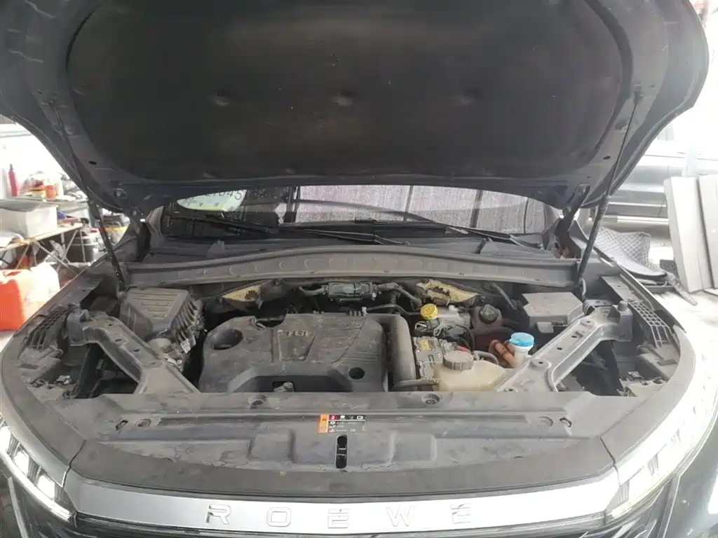 Roewe RX5 eMAX 2022 — фото 20