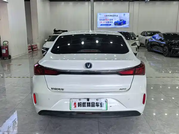 Changan Yidong New Energy 2023