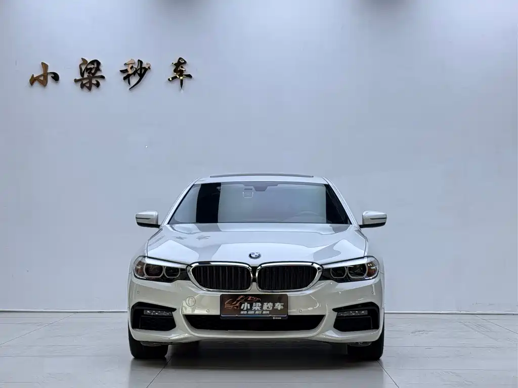 BMW 5 Series 2018 — фото 2