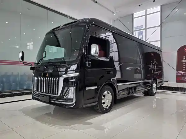 Hongqi Golden Sunflower 2024