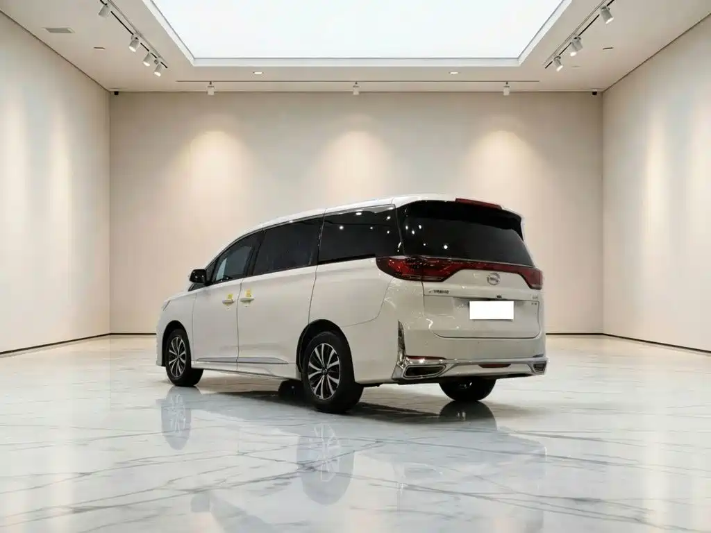 GAC Trumpchi M8 2024 — фото 13