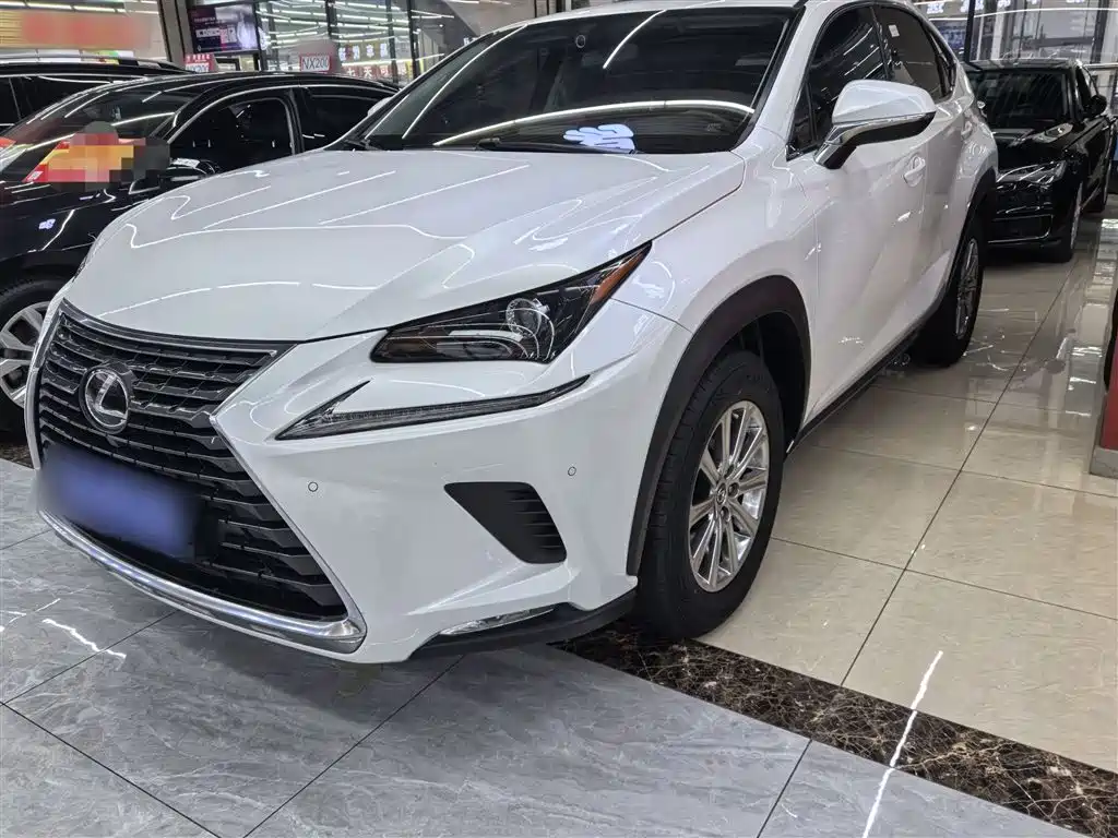 Lexus NX 2021 — фото 1
