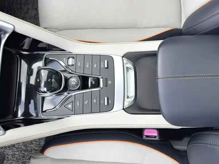 BYD Song PLUS New Energy 2022 — фото 18
