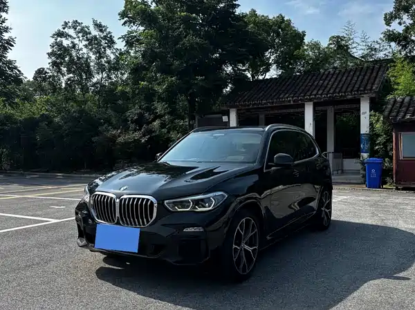 BMW X5 2019