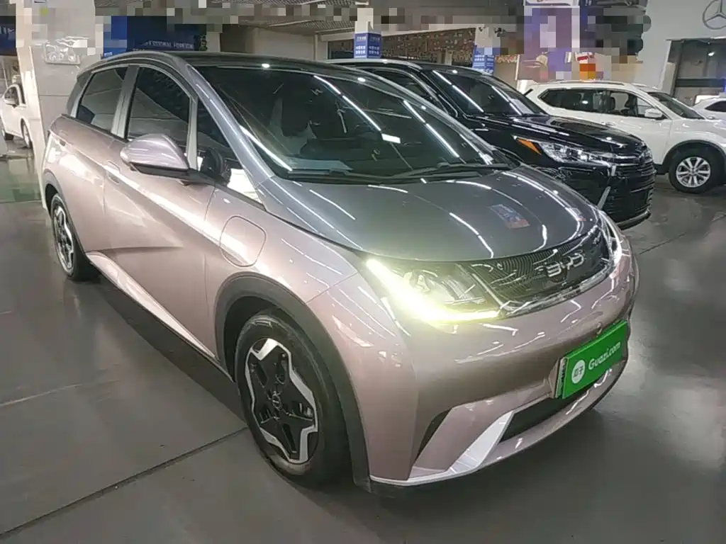 BYD Dolphin 2021