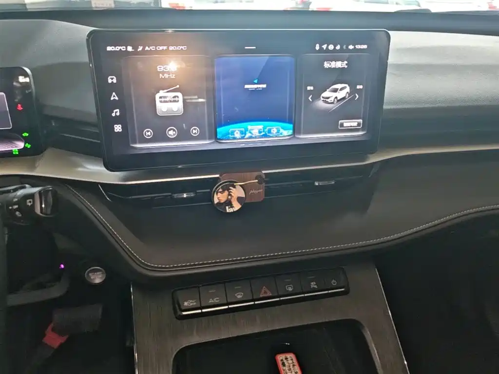 Haval H6 New Energy 2023 — фото 13