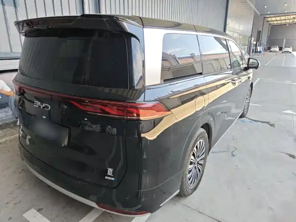 BYD Summer 2025