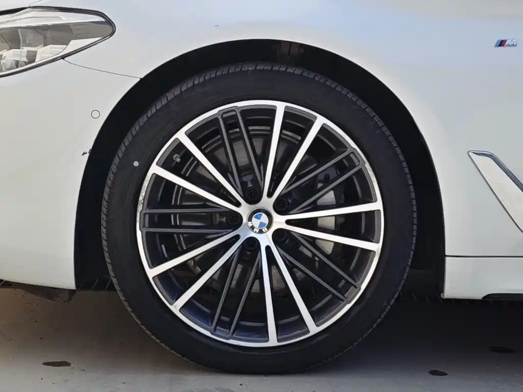 BMW 5 Series 2020 — фото 16