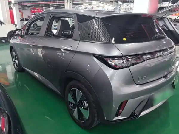 BYD Dolphin 2024