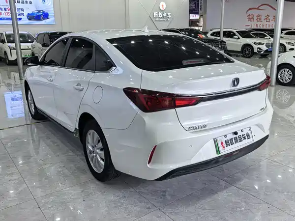 Changan Yidong New Energy 2023