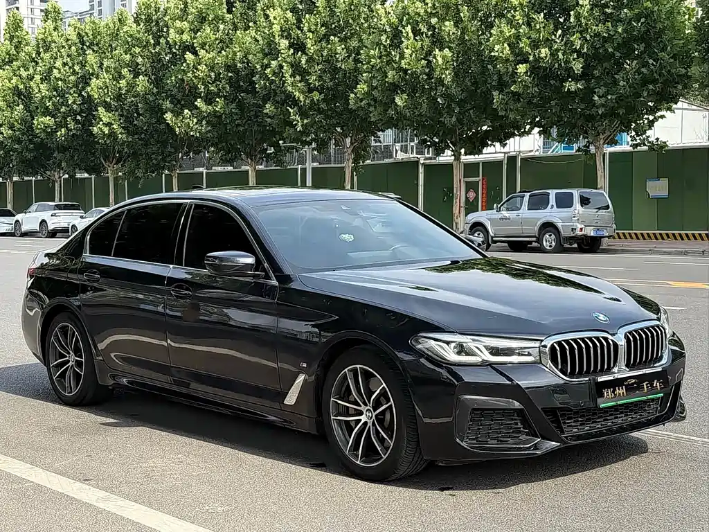 BMW 5 Series New Energy 2022