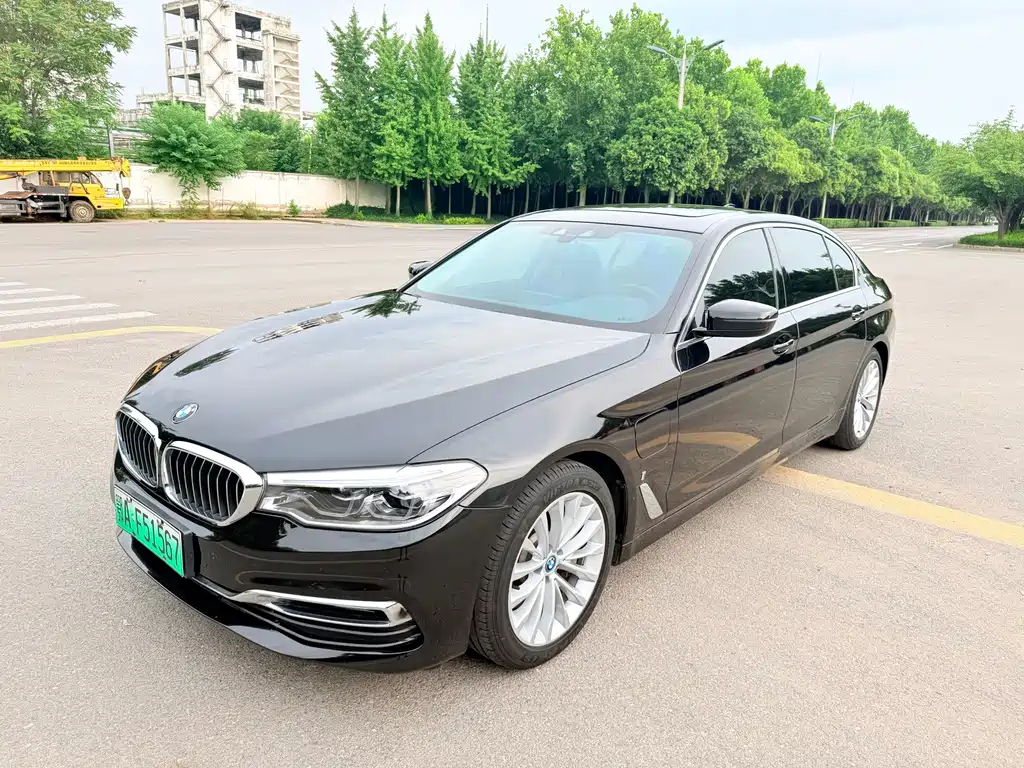 BMW 5 Series New Energy 2019