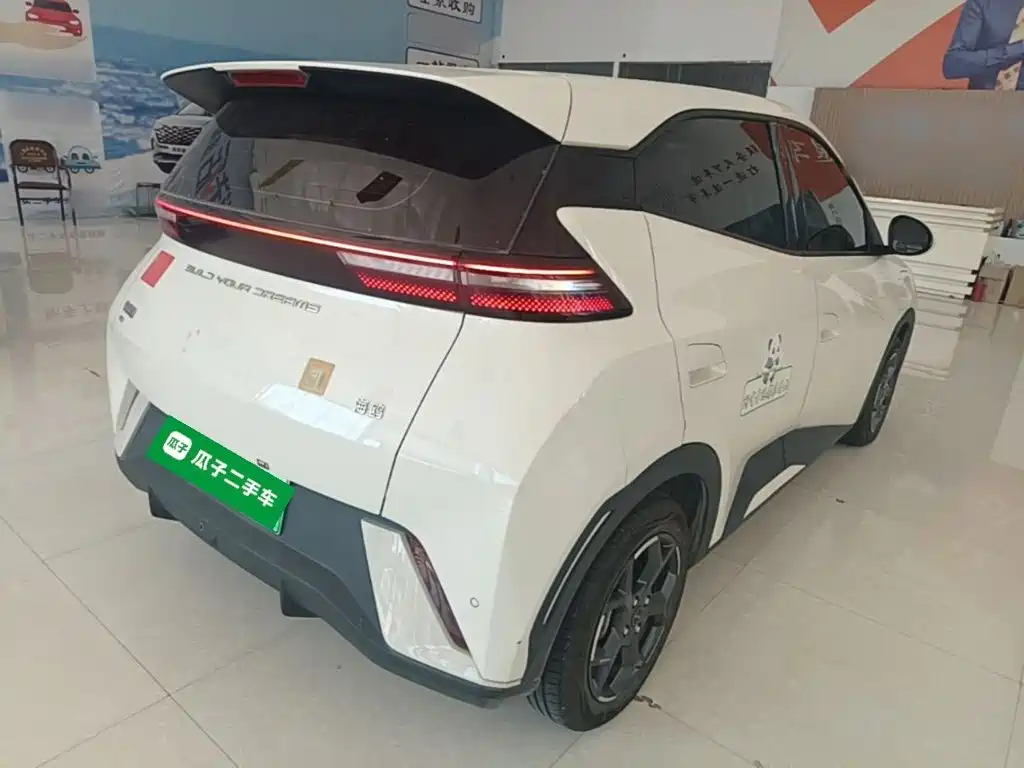BYD Seagull 2024