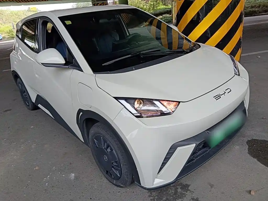 BYD Seagull 2024