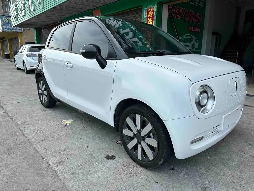 Ora Black Cat 2021