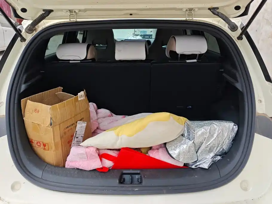BYD Dolphin 2025