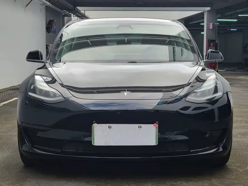 Tesla Model 3 2020 — фото 2