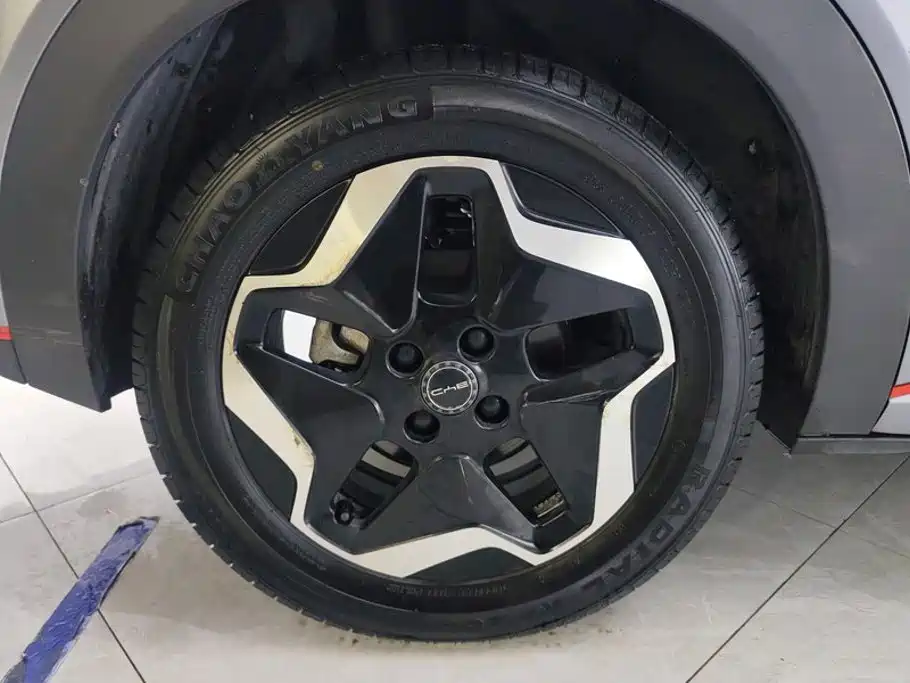 BYD Dolphin 2022