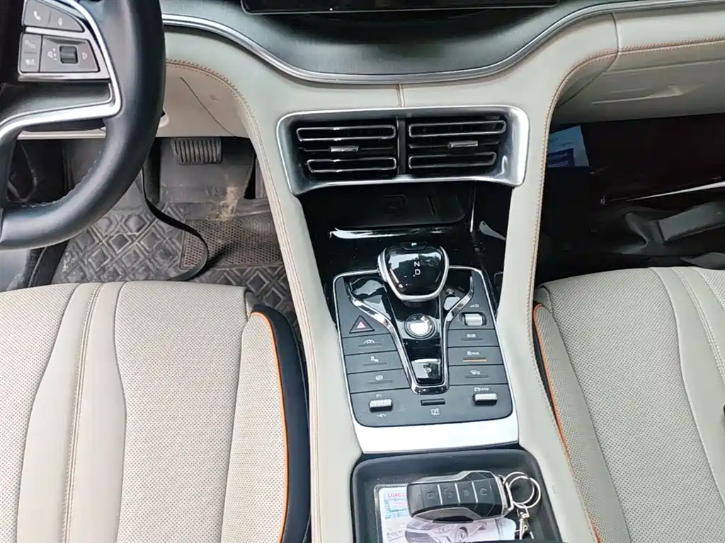 BYD PLUS New Energy 2023 — фото 14