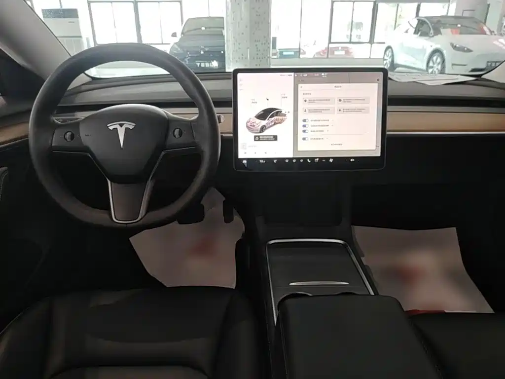 Tesla Model 3 2021 — фото 10