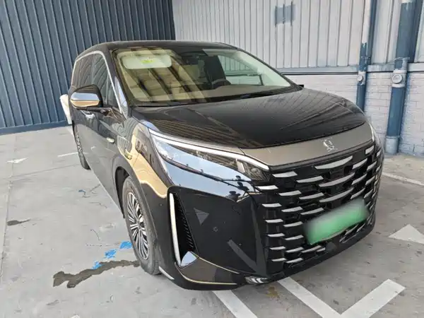 BYD Summer 2025