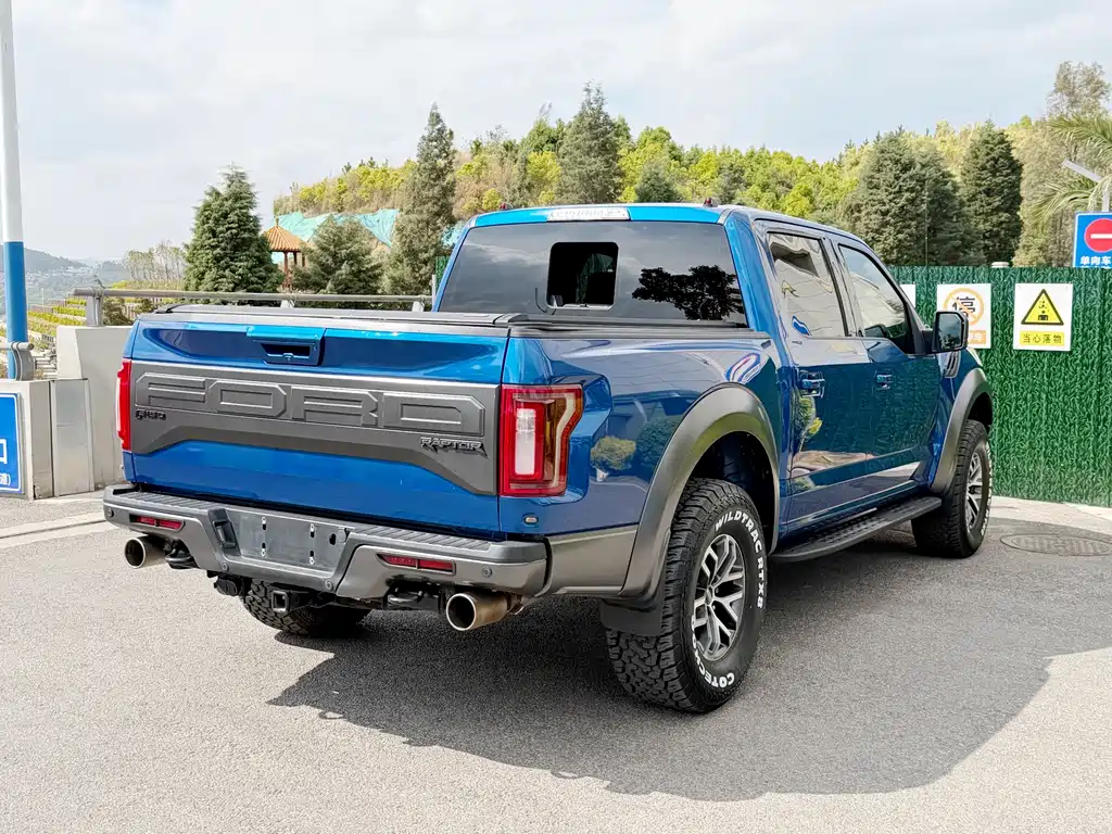 Ford F-150 Raptor 2017 — фото 16