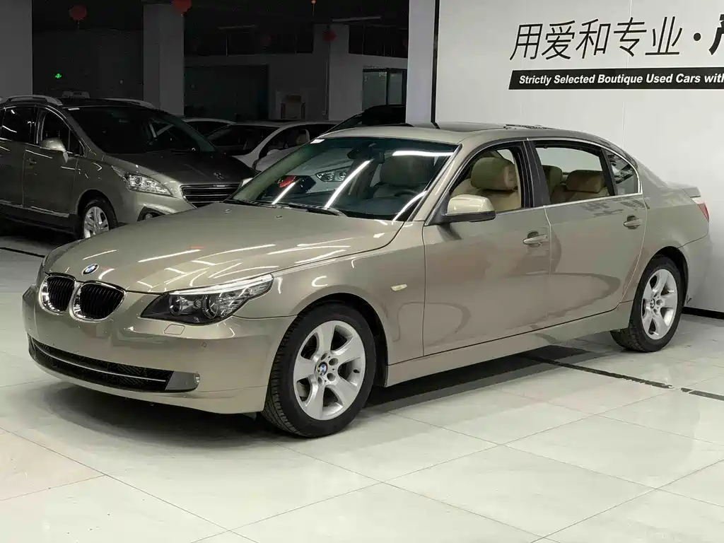 BMW 5 Series 2010