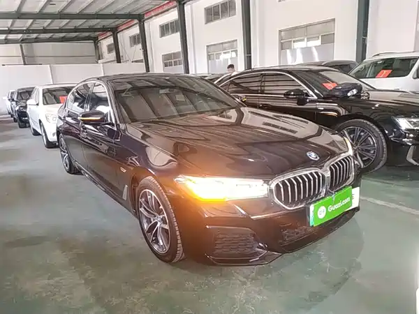 BMW 5 Series New Energy 2022