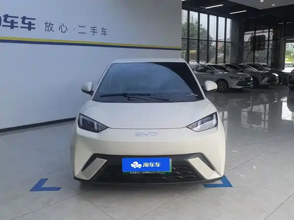 BYD Seagull 2024