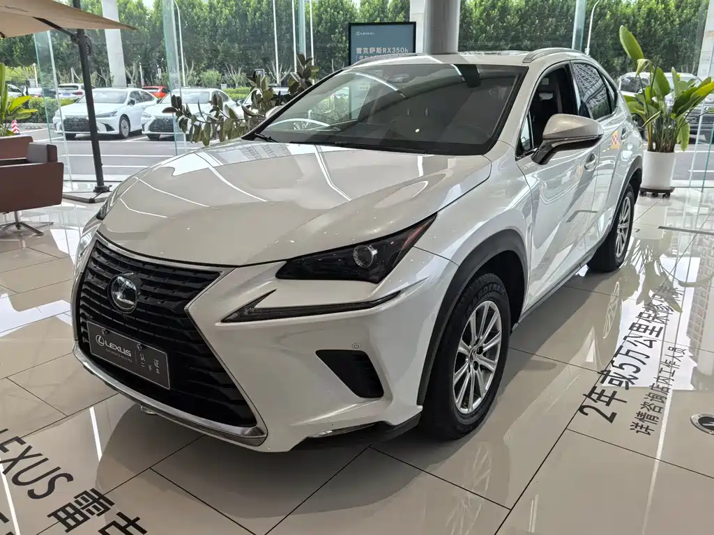 Lexus NX 2021 — фото 1